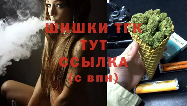 крисы Магас